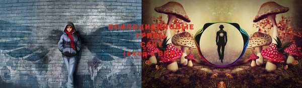 марки nbome Арсеньев