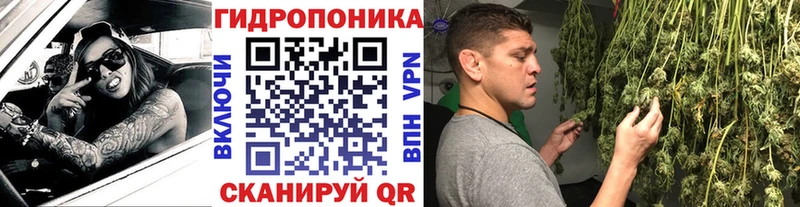 Бошки марихуана Amnesia  мега как зайти  Снежногорск 